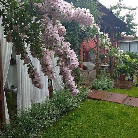 Pousada Charme E Estilo Нова-Петрополис Экстерьер фото
