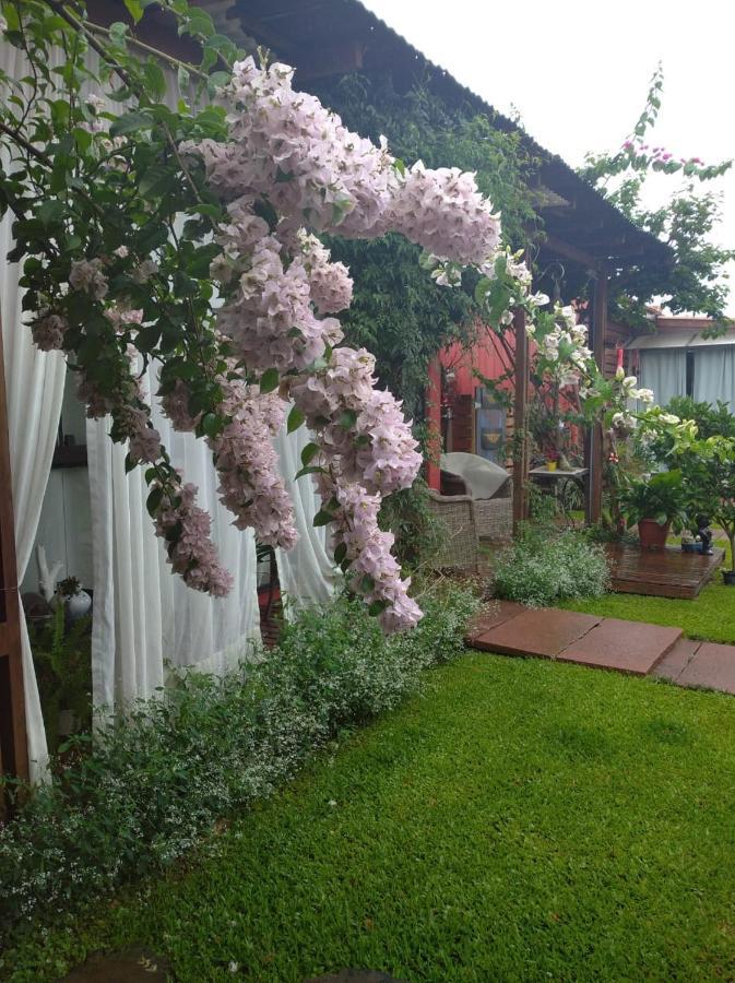 Pousada Charme E Estilo Нова-Петрополис Экстерьер фото